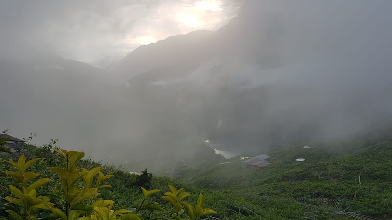 台七甲濃霧