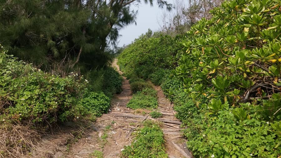偏僻小路