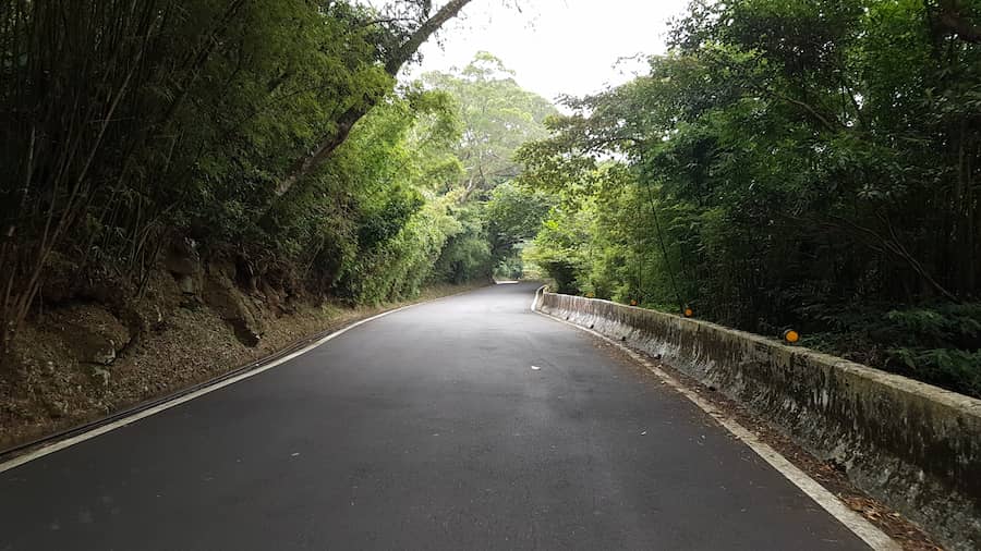 頗為陰暗的林間小路