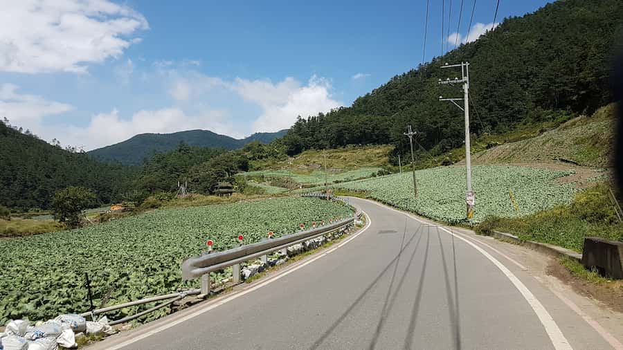 台七甲沿路田園景觀